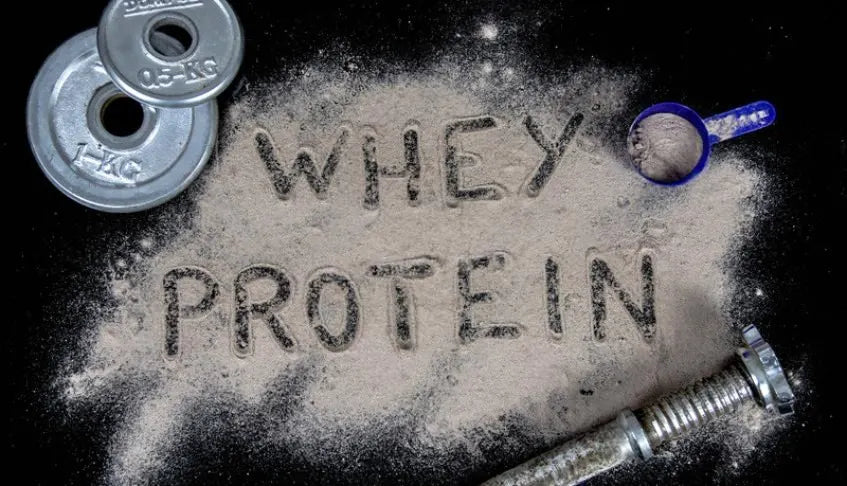 Whey Protein Powder Benefits: Why You Should Add It to Your Daily Diet