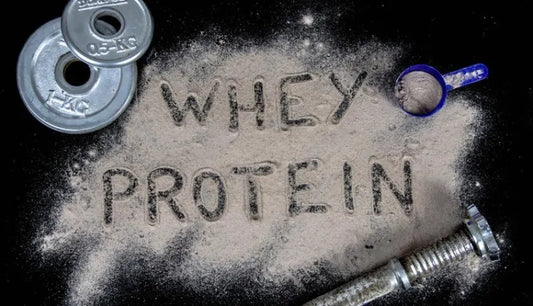 Whey Protein Powder Benefits: Why You Should Add It to Your Daily Diet