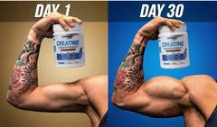 How Creatine Helps You Build Muscle Faster