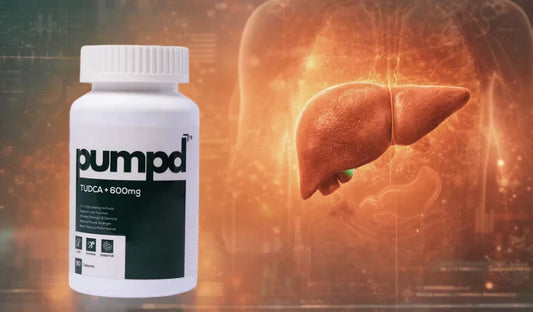 Best Liver Supplement Online