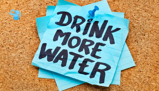 How to Stay Hydrated