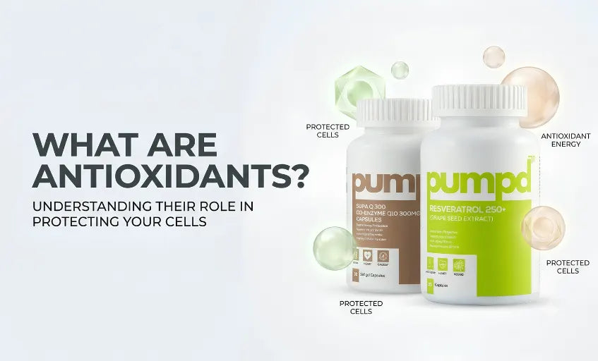 What Are Antioxidants