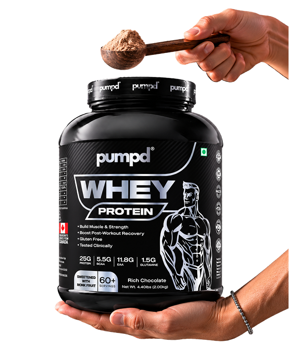 Whey Protein Concentrate | Rich Chocolate