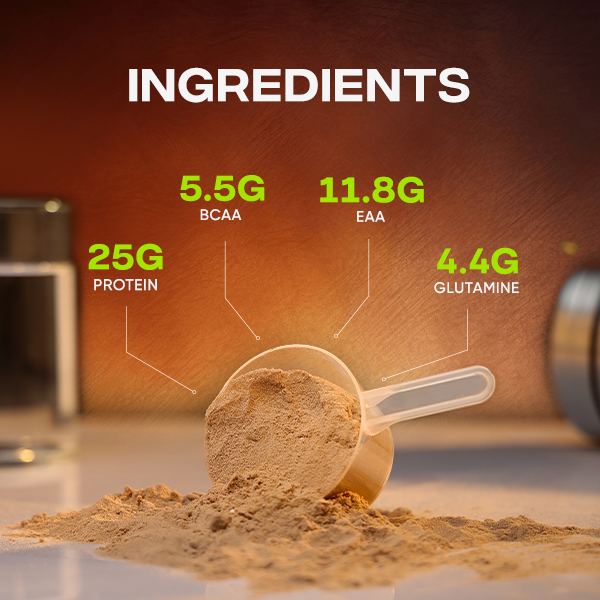 Whey Protein Concentrate | Rich Chocolate | 2 kg (4.4 lbs)